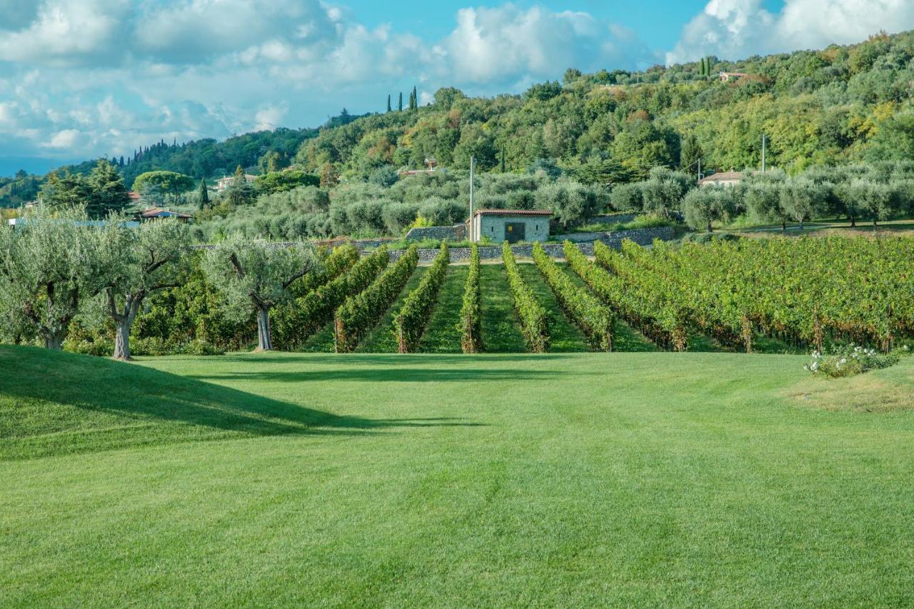 Agriturismo Borgata Levita バルドリーノ エクステリア 写真